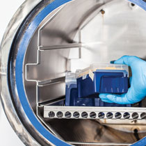 健康的健康和医疗报告，请我们建议